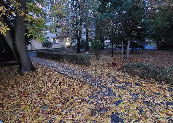 Cosy Muranow Apartment Warsaw